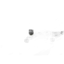 Fuel Rail Pipe Fiat Ducato, Iveco Daily 0445224006, 0 445 224 006, 0281002393, 0 281 005 398