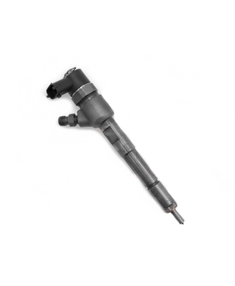 Injector Iveco Daily / Fiat Ducato 0445110418, 504389548