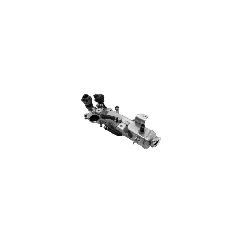 Intercambiador EGR BMW Serie 3 E90 / E91 / E92 / E93 - 781075106, BMNN123398AH