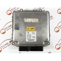 Engine Control Unit ECU Mercedes-Benz W215 - A6519005901, 28303052, FV10.15, PD11M