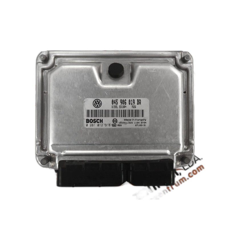 Engine Control Unit ECU Seat Ibiza - 045906019BR, 0281012318,  1039S11626