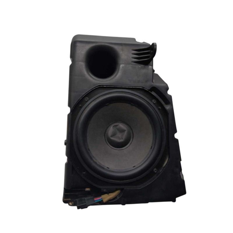 Caixa Alto Falante Tesla Model 3-  107974700D, 1206191518A
