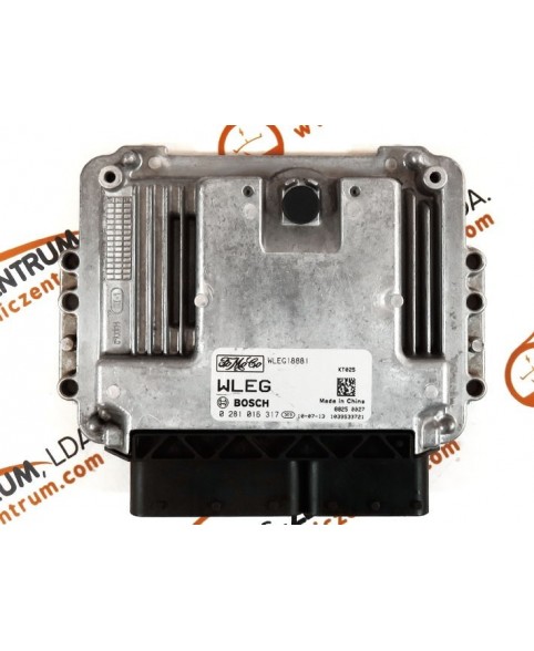 Boitier ECU Ford Ranger 2.2 TDCI- WLEG18881, 0281016317, 1039S33721