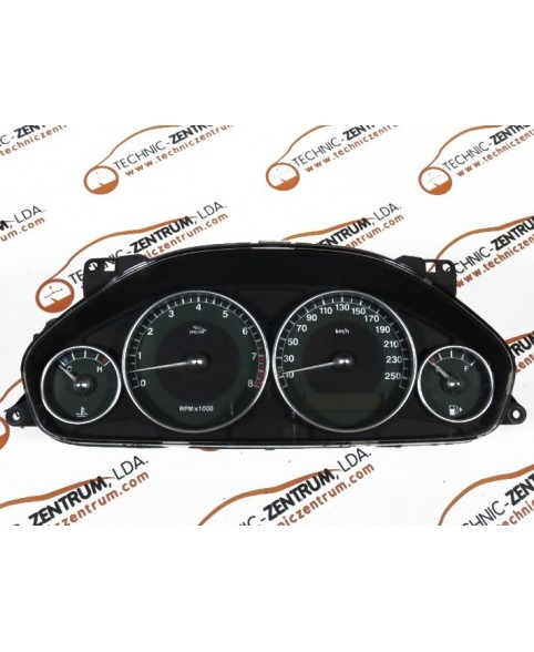 Digital Speedometer - 1X4F10849DJ